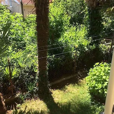 In 30517 Apartment